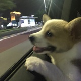晚餐吃什么