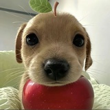 优.