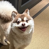 MIMI