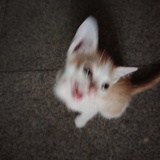闹