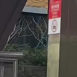 长风破浪