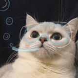 小寒