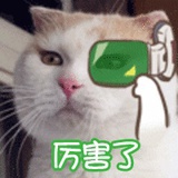 嬛嬛一袅楚宫腰