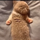 还没有走完的路