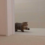 咩娜
