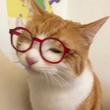 小羊肖恩