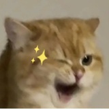 闻歌