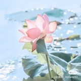春日来信