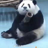 O.o
