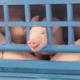 看人就烦