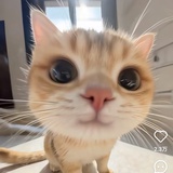 云飞扬