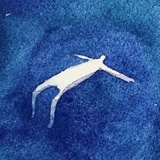 慢youyou