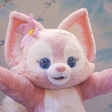 小橘子