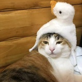 ⠀