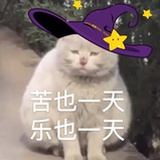 能活一天是一天