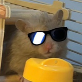 多么快乐的是我