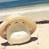 小每每