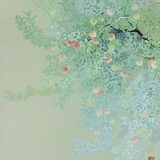橘子屿