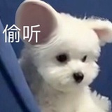 别烦