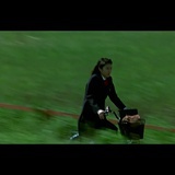 勤学多问为什么