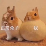 圈地自萌~