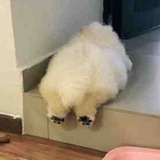 🤗️