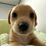 qwhjk