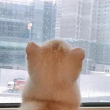 玉言