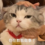 什么杳杳