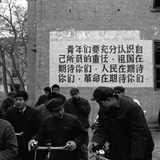 巴拉冰