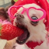 ^⦁᎑-^ ੭