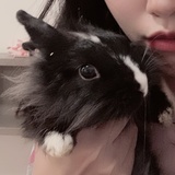小黑的小黑