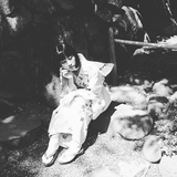 不好意思全带走