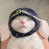 白天出没的月球