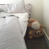 不加冰