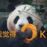 剥夺者
