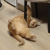 熊熊啊熊