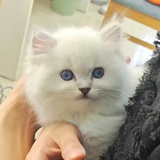 西一西