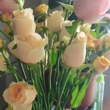 轻舟已过万重山