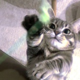 别报错了好不好