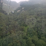 松子无