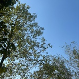比天空还远