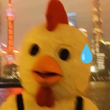 纯禽老鸡火辣辣