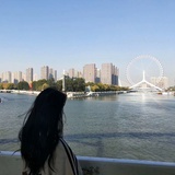 嗯猪猪猪