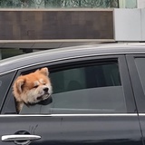 阴转多云