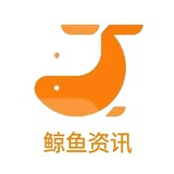 鲸鱼资讯