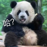 没有罗
