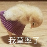是我草率了