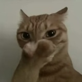 张伟
