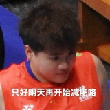咪猪小精灵